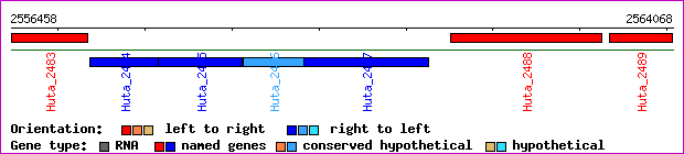 gene map