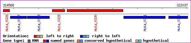gene map