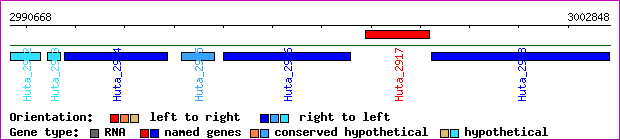 gene map