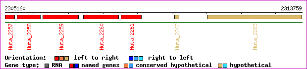 gene map