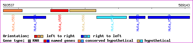 gene map