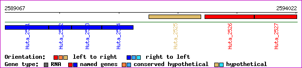 gene map