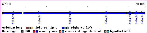 gene map