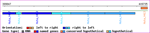 gene map