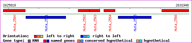 gene map