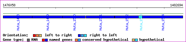 gene map