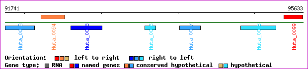 gene map