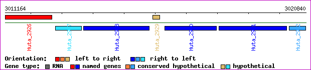 gene map