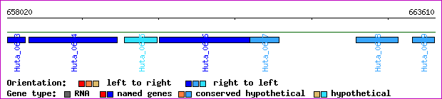 gene map