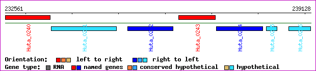 gene map