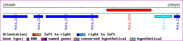 gene map