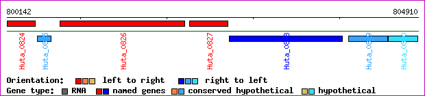 gene map