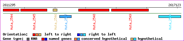 gene map