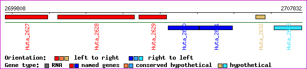 gene map