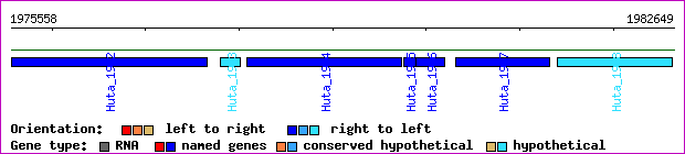 gene map