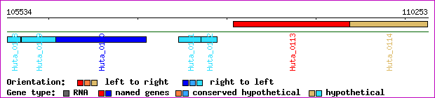 gene map