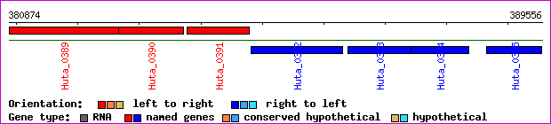 gene map