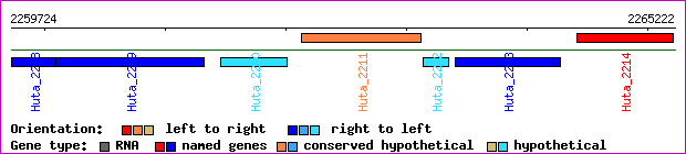 gene map