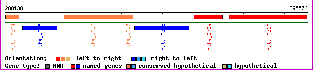 gene map