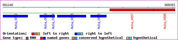 gene map