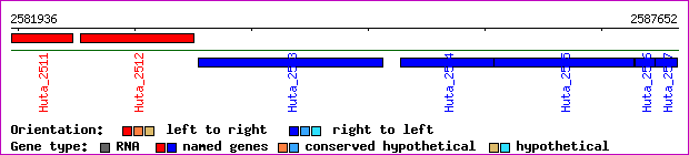 gene map