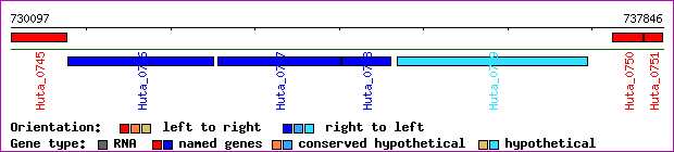 gene map