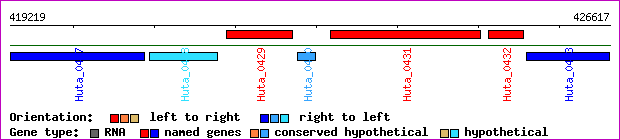 gene map
