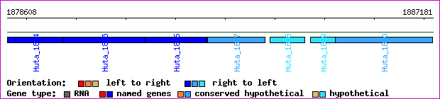 gene map