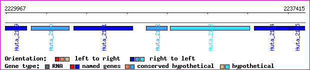 gene map
