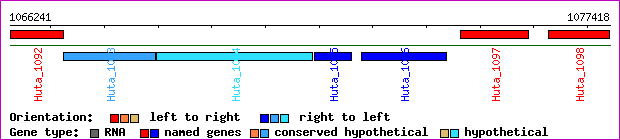gene map