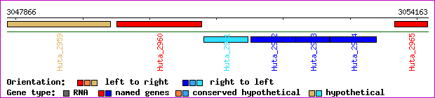 gene map