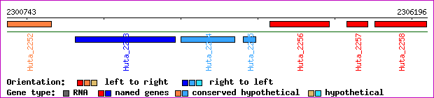gene map