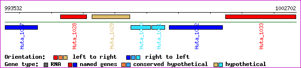 gene map
