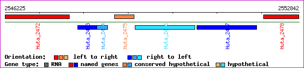 gene map