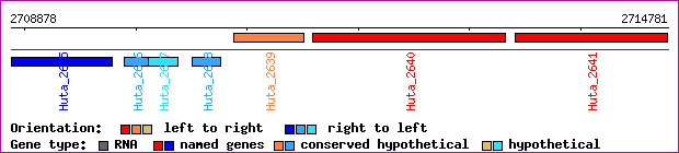 gene map