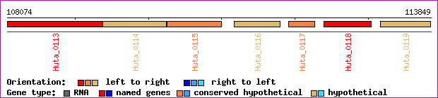 gene map