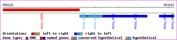 gene map