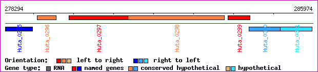 gene map