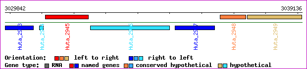 gene map