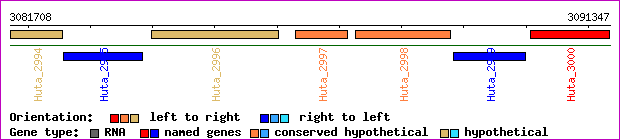 gene map