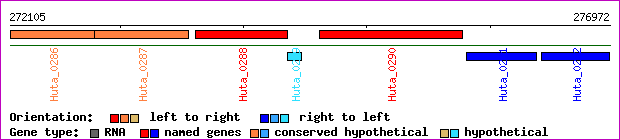 gene map