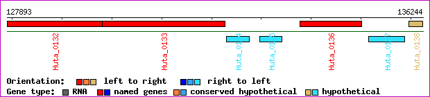 gene map