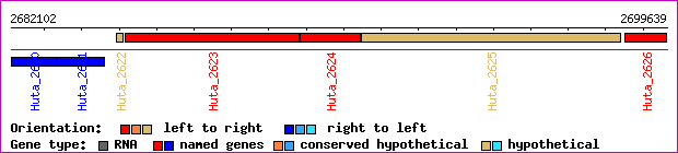gene map