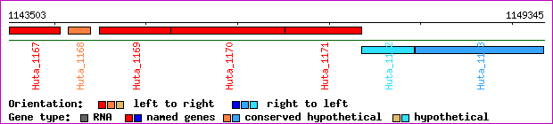 gene map