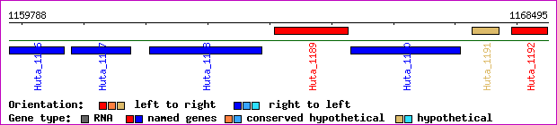 gene map
