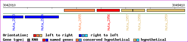 gene map