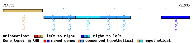 gene map