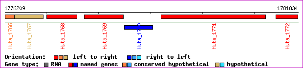 gene map