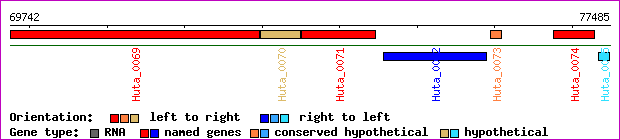 gene map