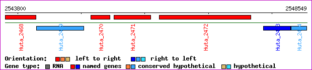 gene map
